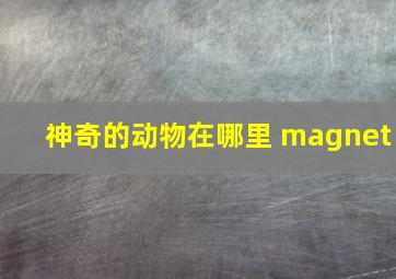 神奇的动物在哪里 magnet